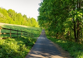 Nezbytná cesta a přístup k nemovitosti